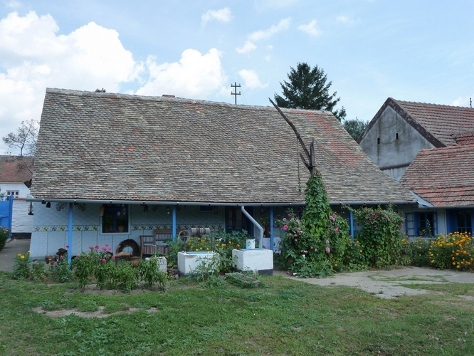 Padina